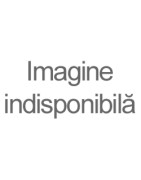 Inscriptionare manuala/laser